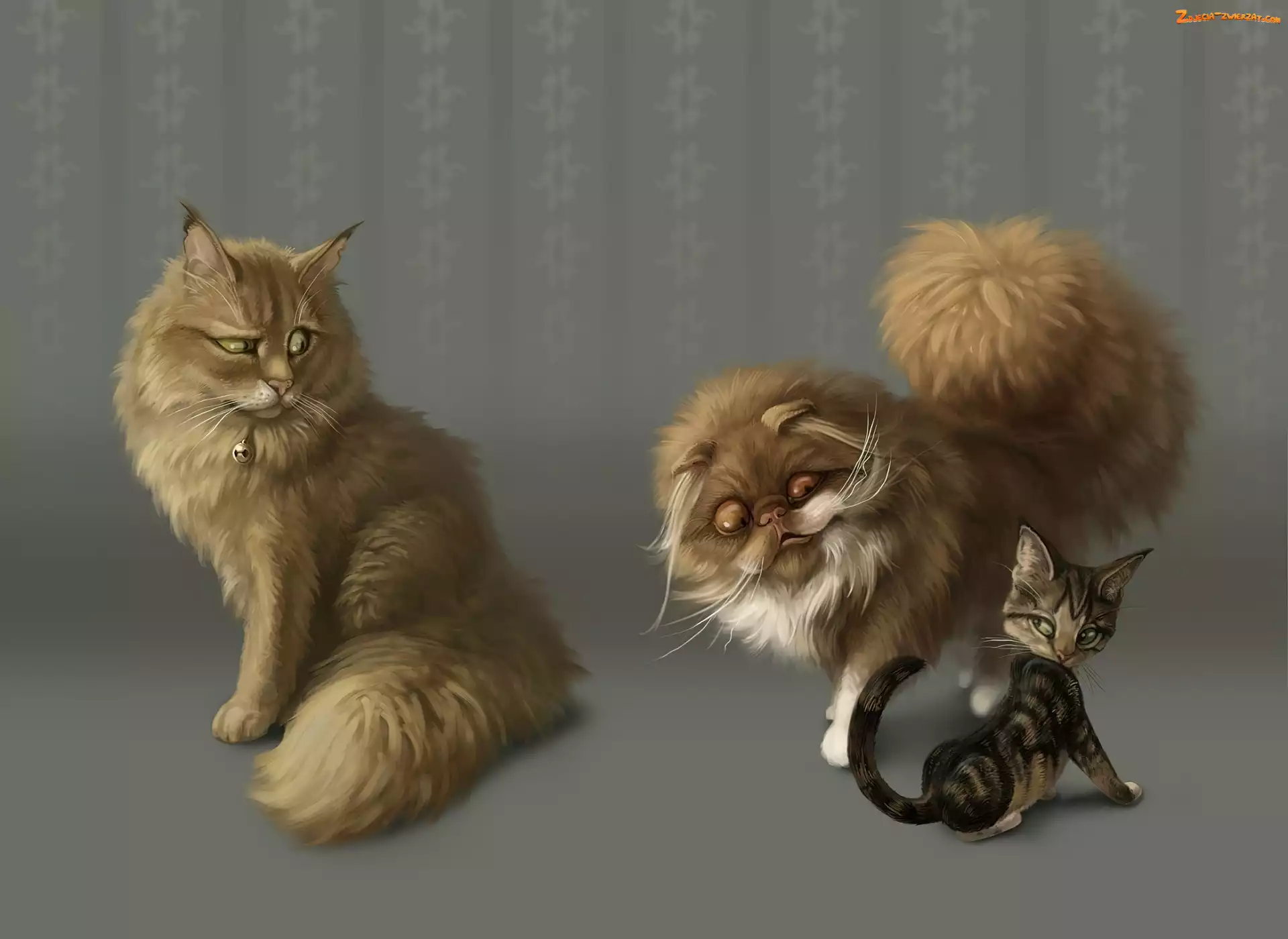 Grafika, Trzy, Koty