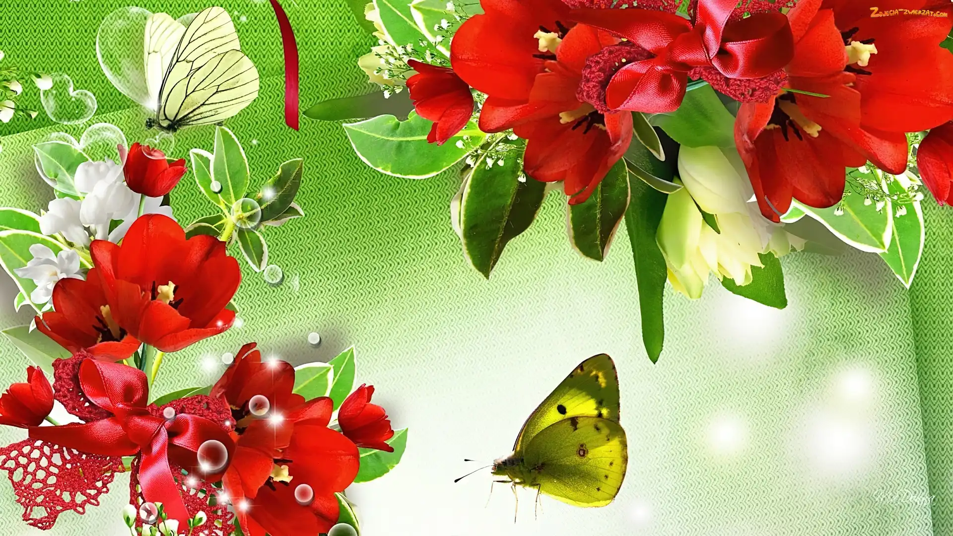 Tulipany, Art, Czerwone, Motyle