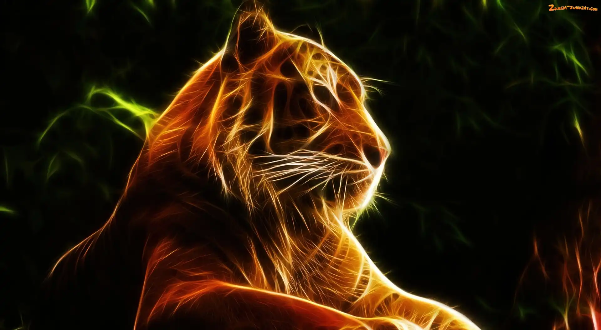 Fractalius, Tygrys, Grafika