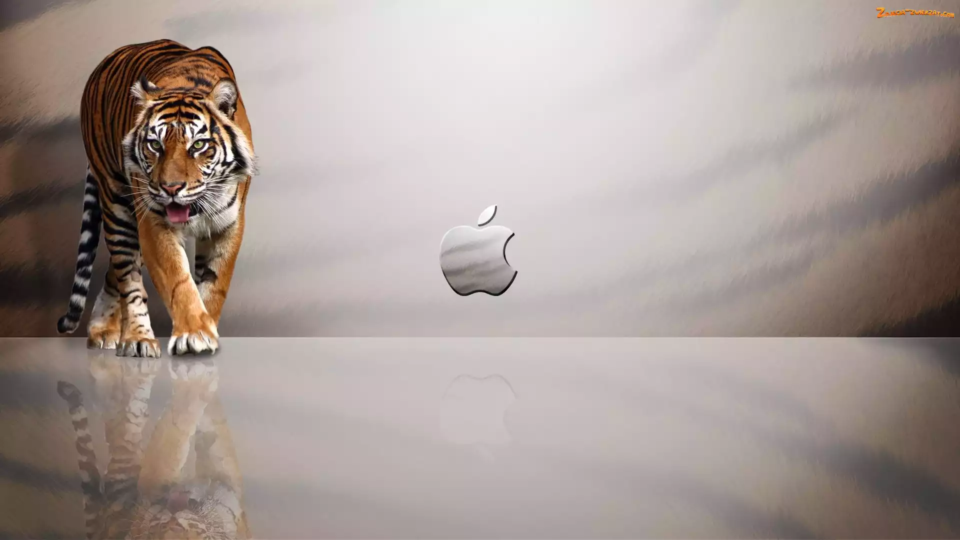 Apple, Tygrys, Logo