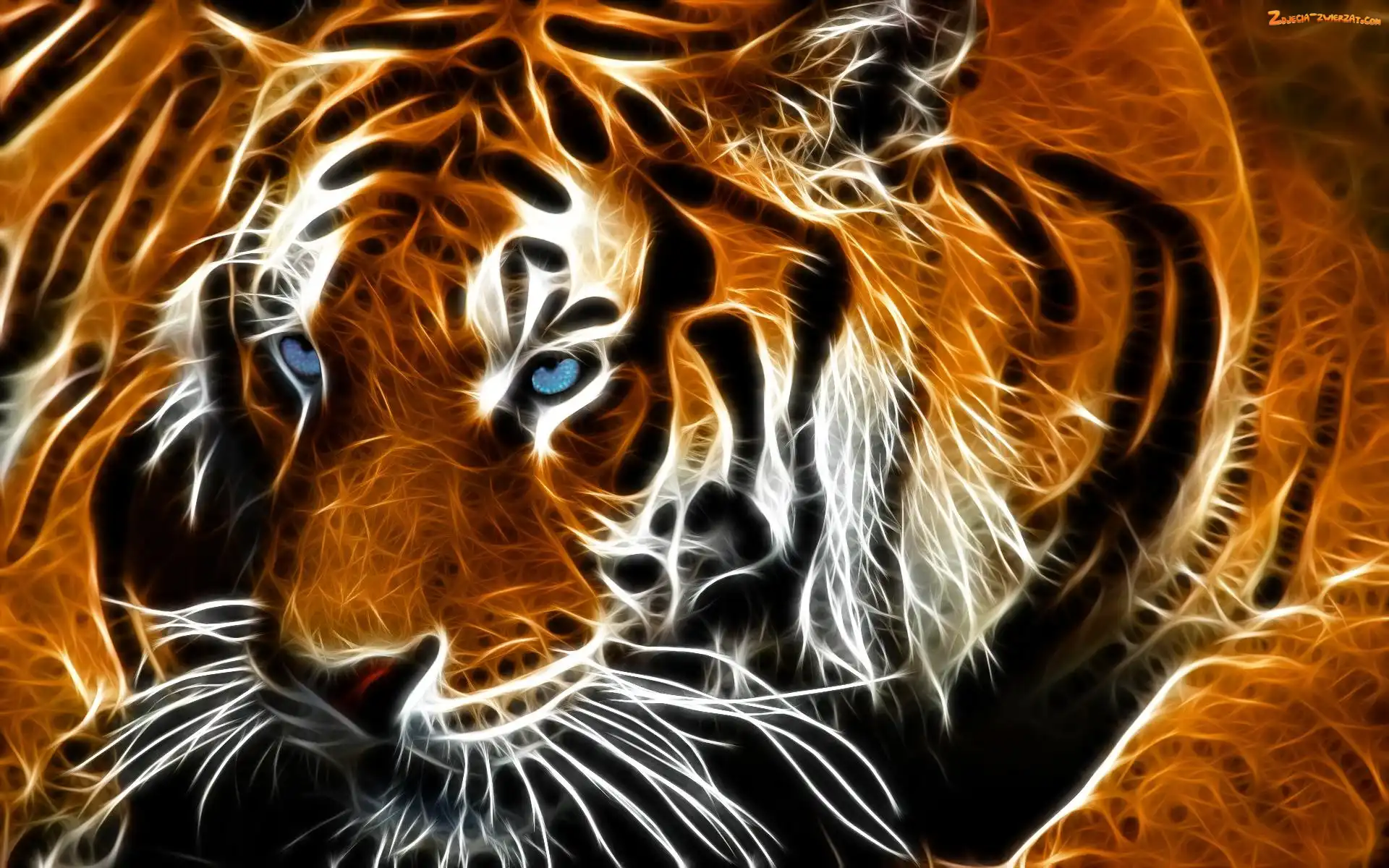 Tygrys, Fractalius