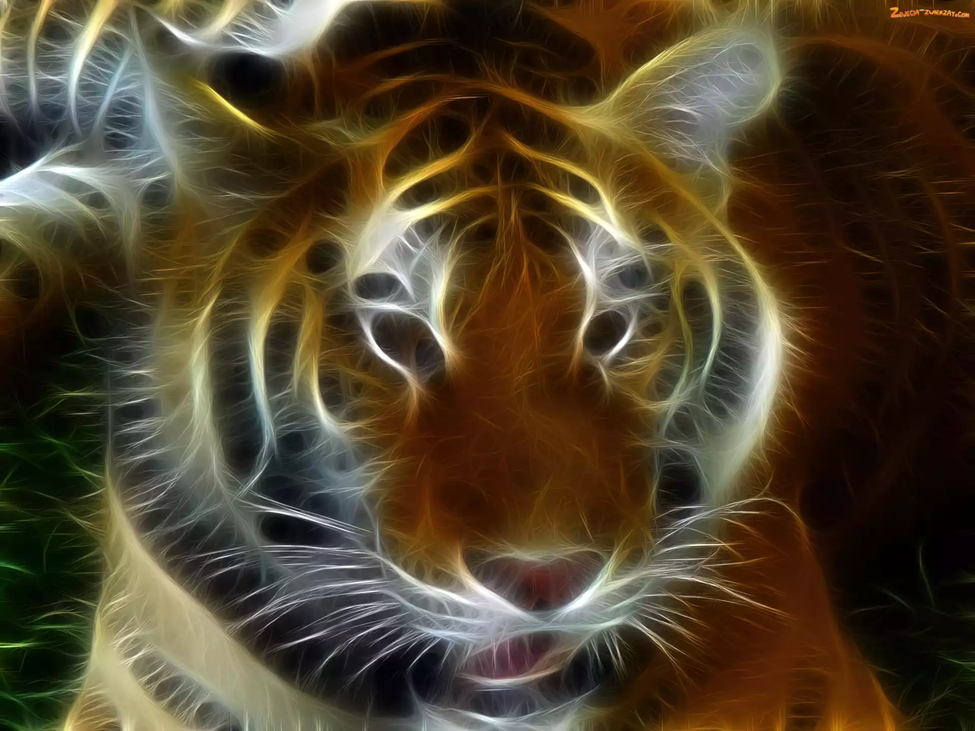 Fractalius, Tygrys