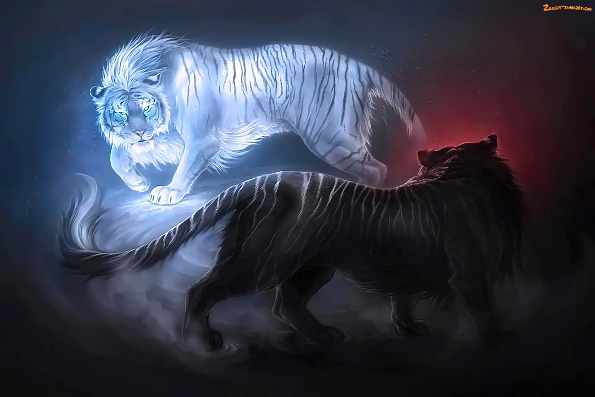 Fantasy, Tygrysy