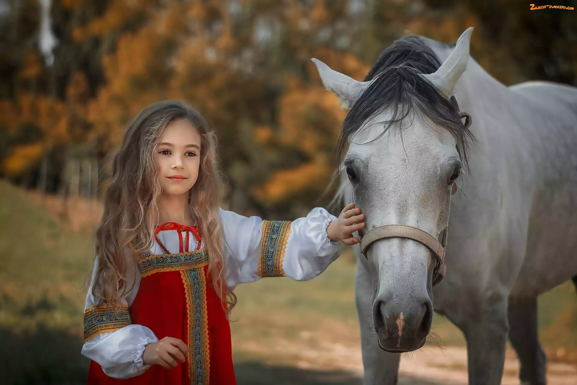 Uzda, Koń, Długie, Dziewczynka, Włosy