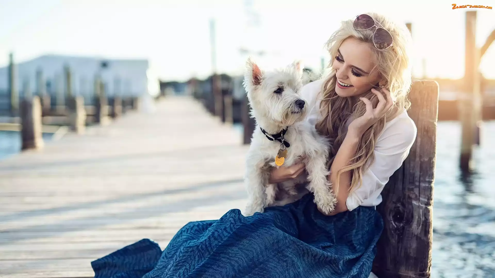 West Highland White Terrier, Kobieta, Okulary