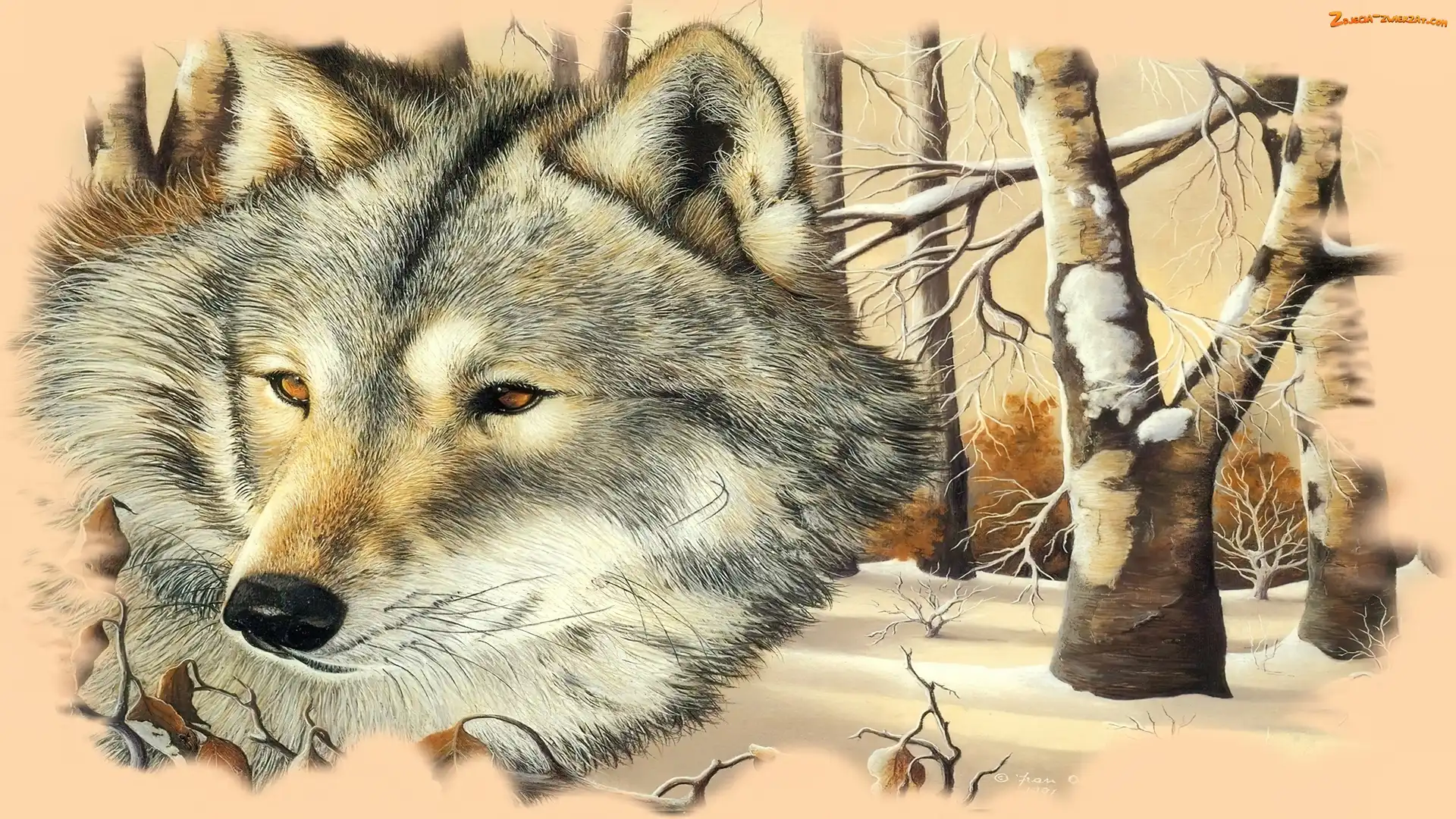 Zima, Wilk, Las