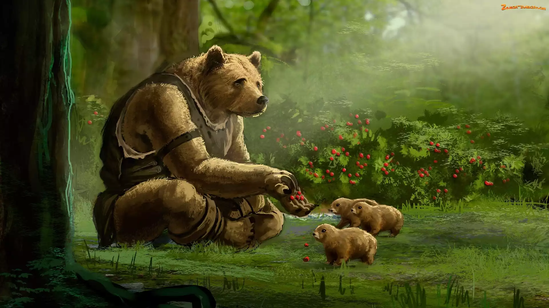 Niedźwiedzie, Witanlore: Dreamtime