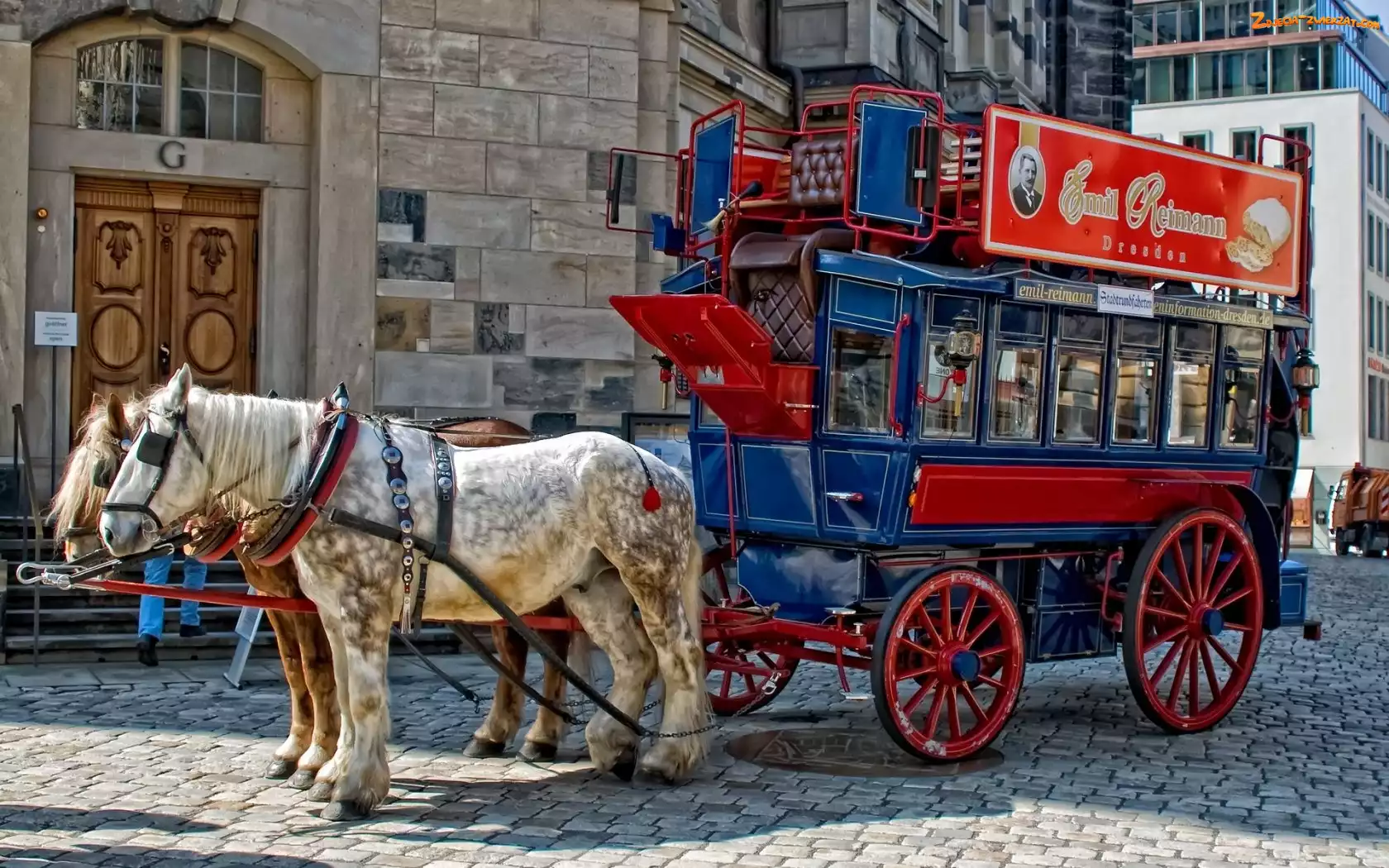 Wóz, Miasta, Konie, Rynek