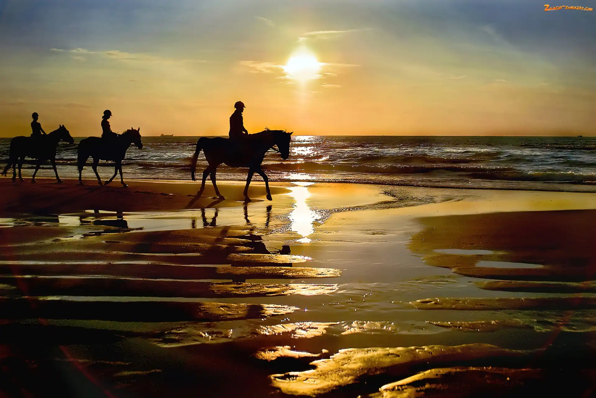 Zachód, Dżokeje, Plaża, Morze, Konie