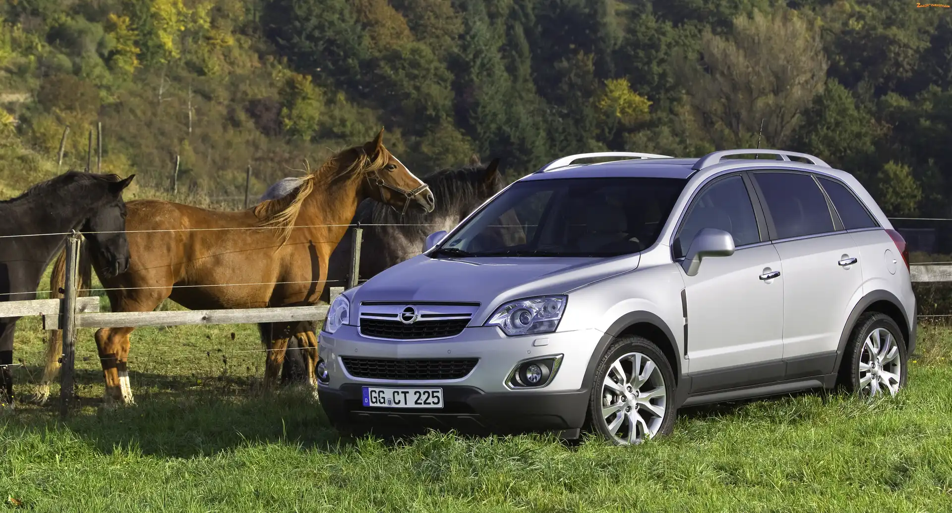Zieleń, Opel Antara, Koń