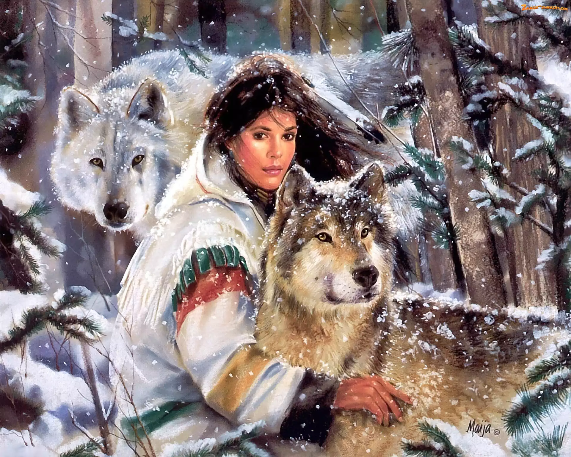 Wilki, Dwa, Zima, Dziewczyna, Indianka