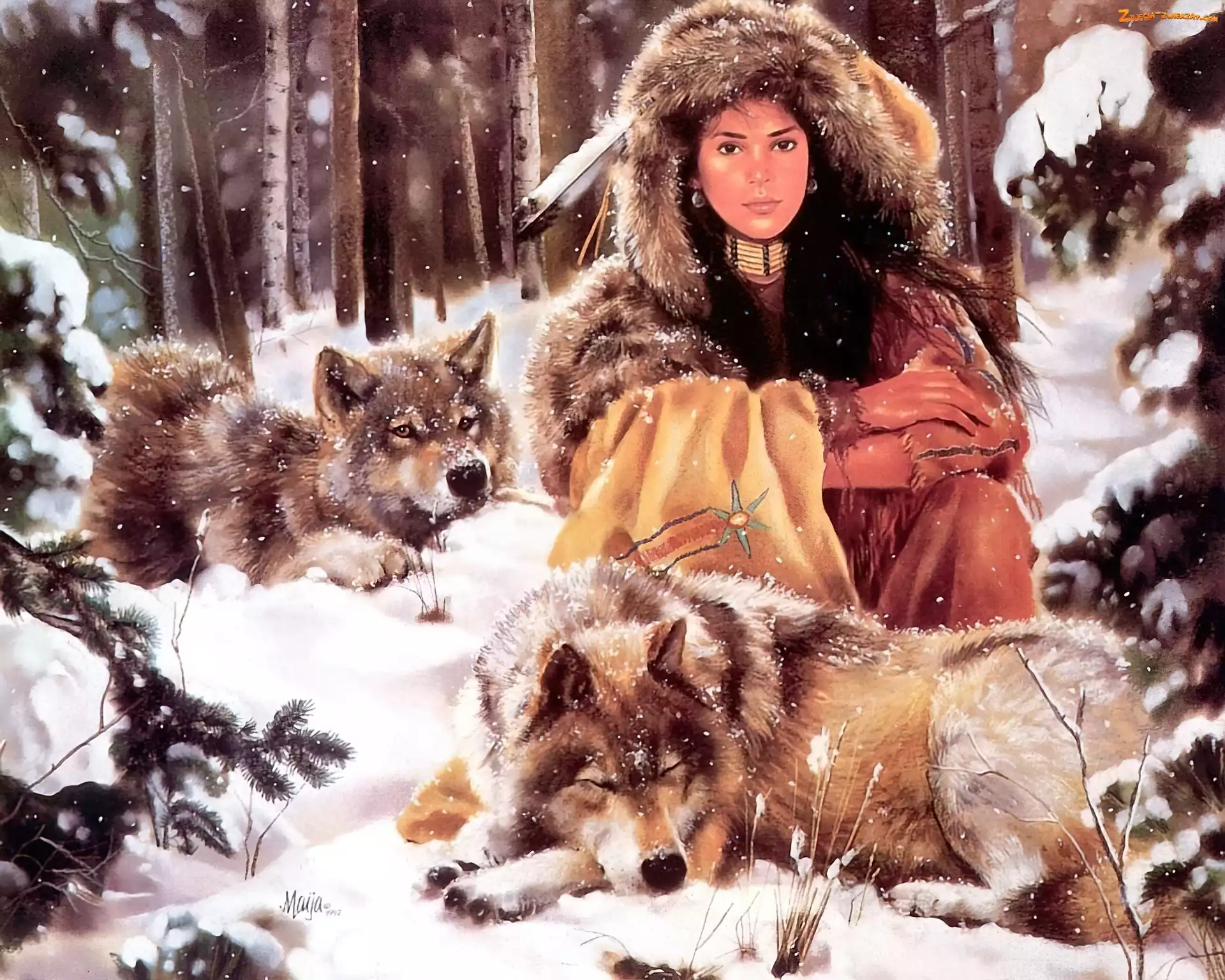 Zima, Wilki, Młoda, Dziewczyna, Indianka