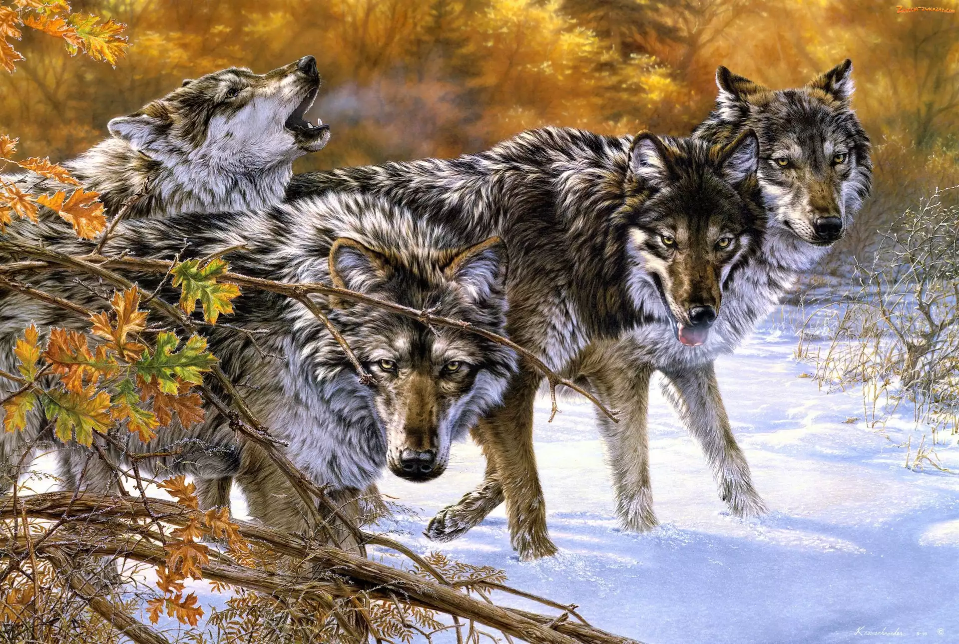 Wilki, Zima, Las